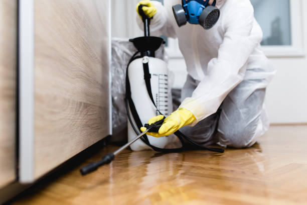 Best Affordable Pest Control Services  in Santa Clara, CA