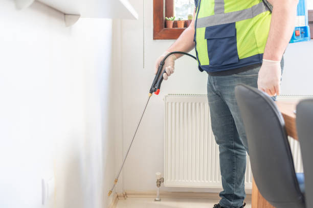 Best Termite Control Services  in Santa Clara, CA