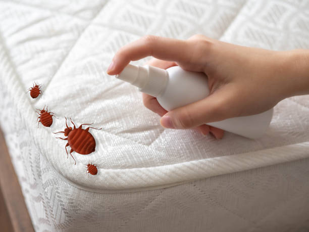 Best Pest Inspection Near Me  in Santa Clara, CA