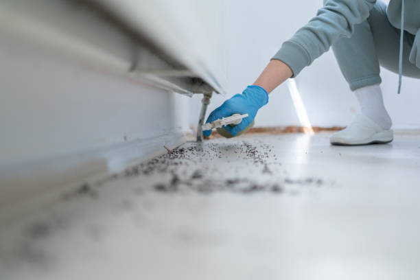 Best Pest Control for Homes  in Santa Clara, CA